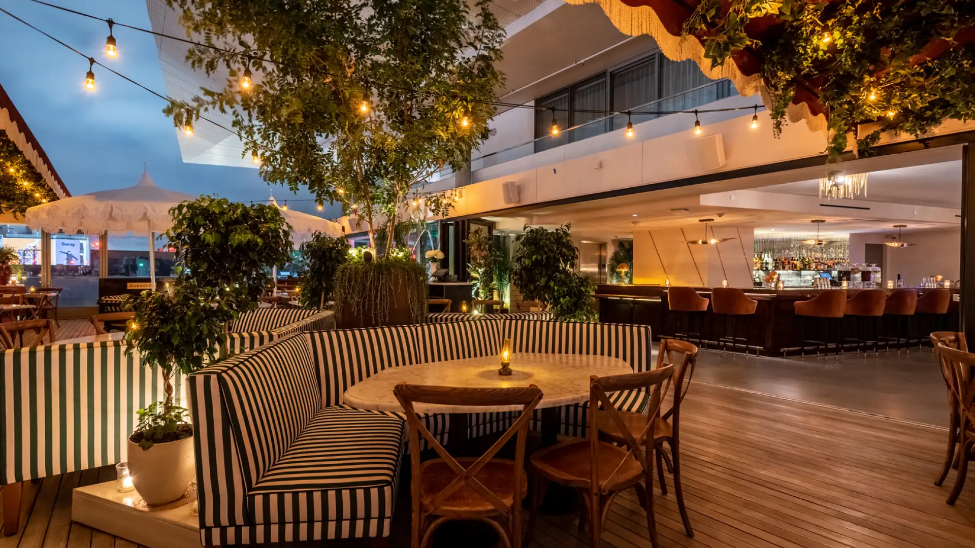 Harriet's rooftop